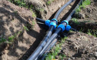 Signs Your Sewer Line Needs Immediate Attention