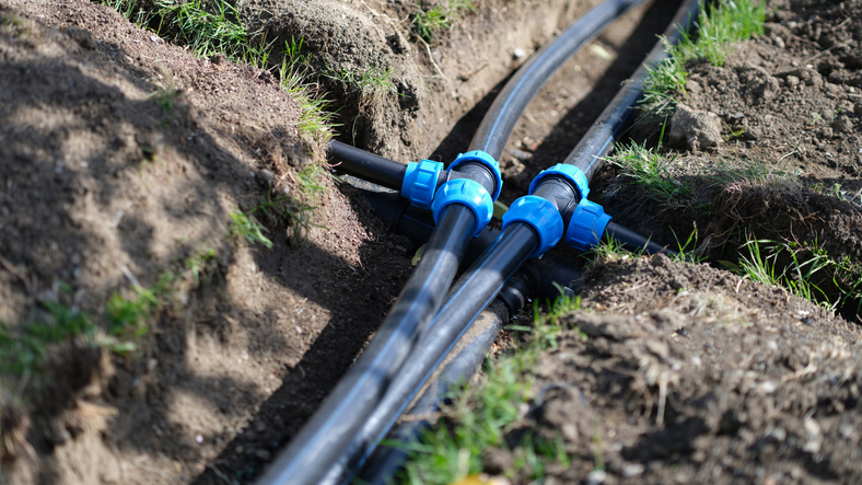 Signs Your Sewer Line Needs Immediate Attention